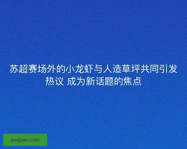 苏超赛场外的小龙虾与人造草坪共同引发热议 成为新话题的焦点